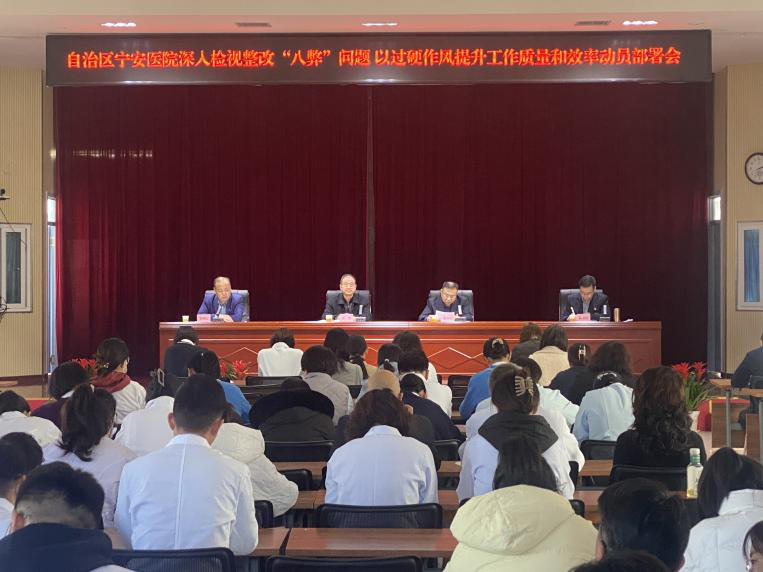 自治区宁安医院以“五个一”为抓手开启“八弊”问题整治整改工作
