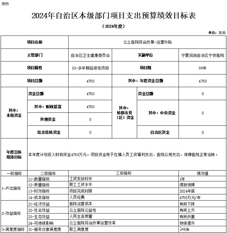 自治区宁安医院2024年自治区本级单位项目支出预算绩效目标