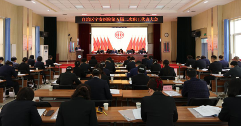 同心聚力扛重任 奋楫笃行谱新篇