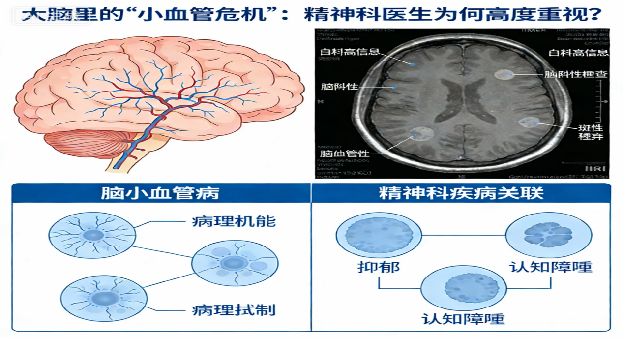 图片11.png
